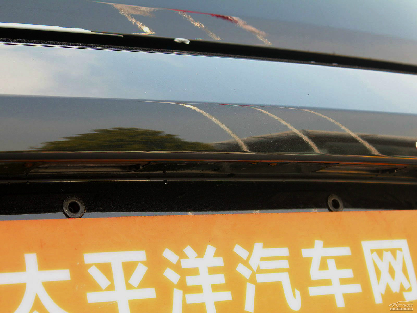 甲殼蟲外觀高清大圖