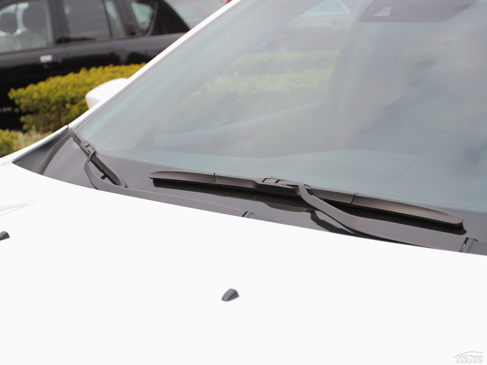 自由光(進(jìn)口)外觀高清大圖