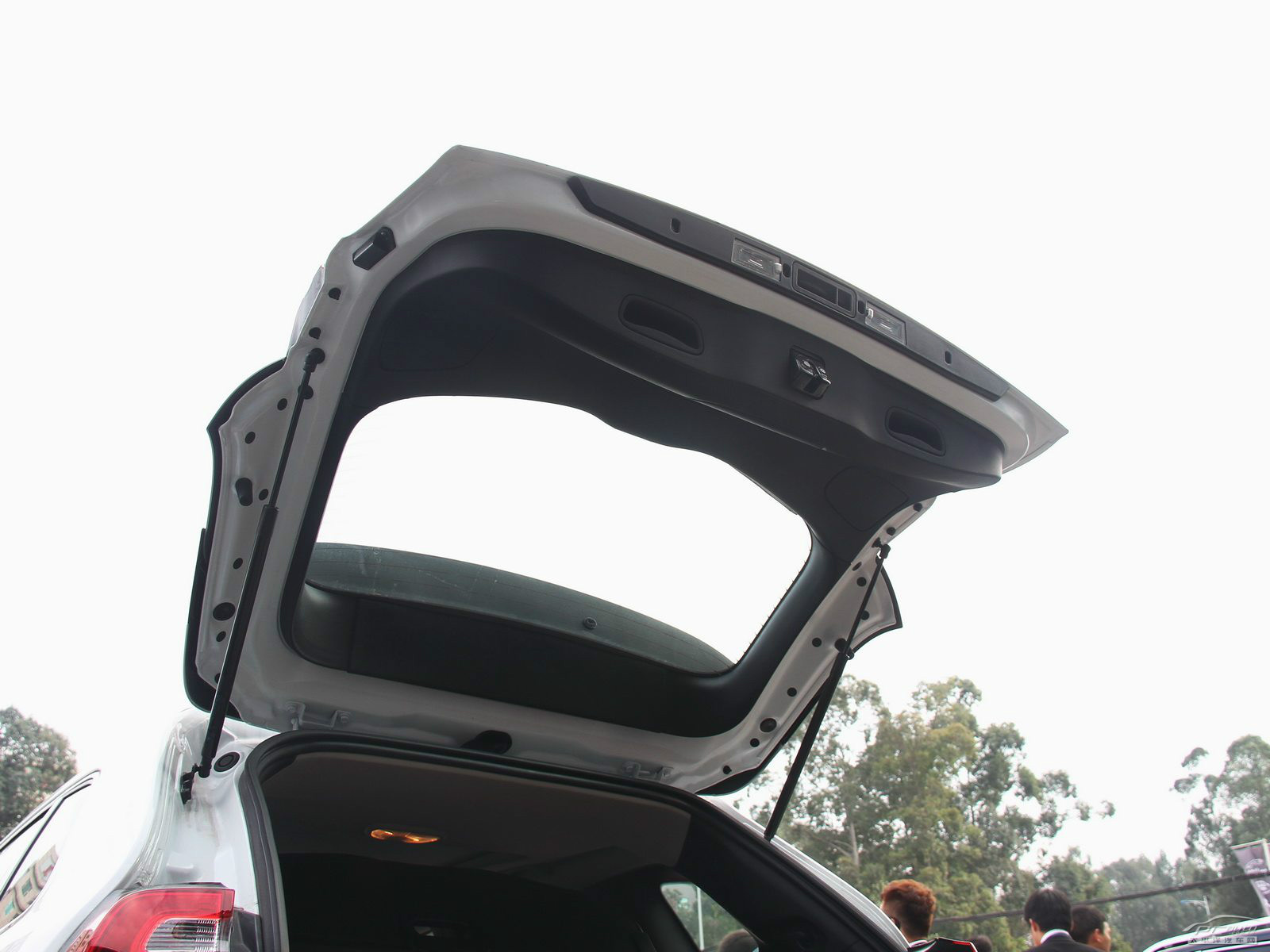 自由光(進口)空間高清大圖