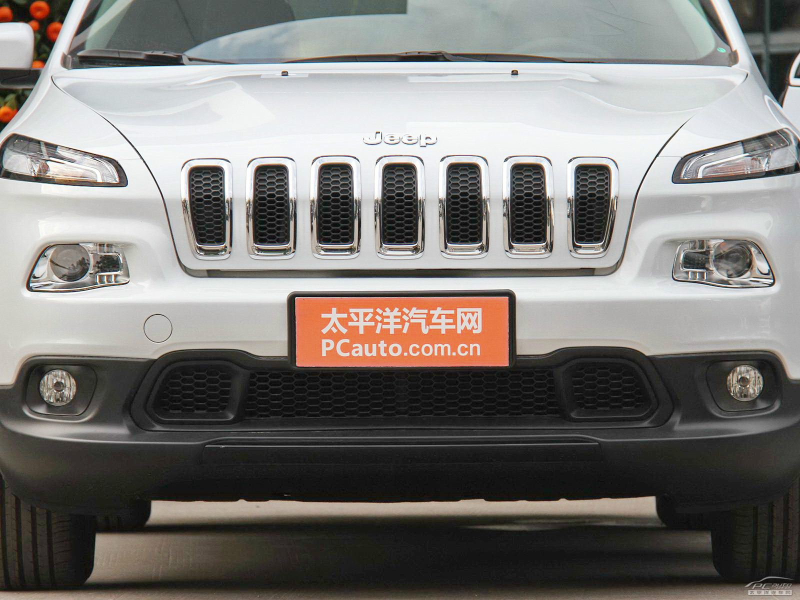 自由光(進(jìn)口)外觀高清大圖