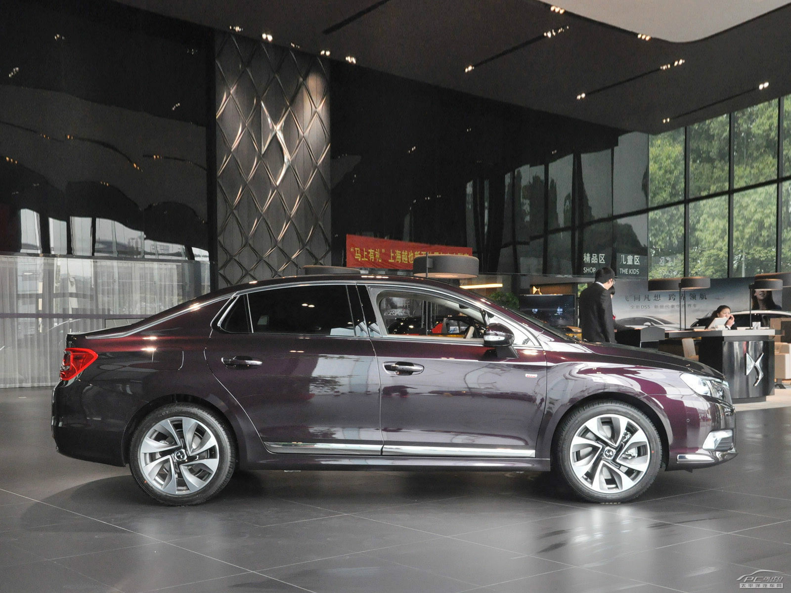 DS 5LS外觀高清大圖