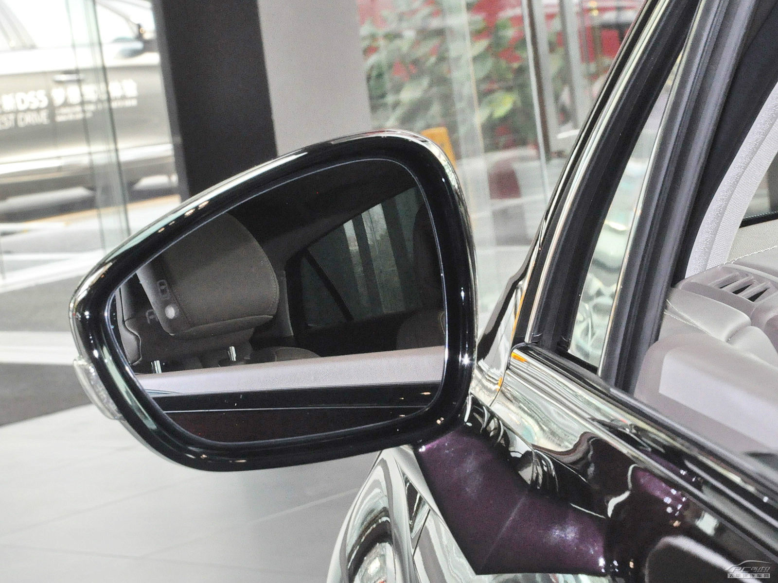 DS 5LS外觀高清大圖