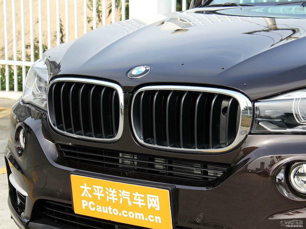 閃晶棕寶馬X5(進(jìn)口)車頭外觀圖片