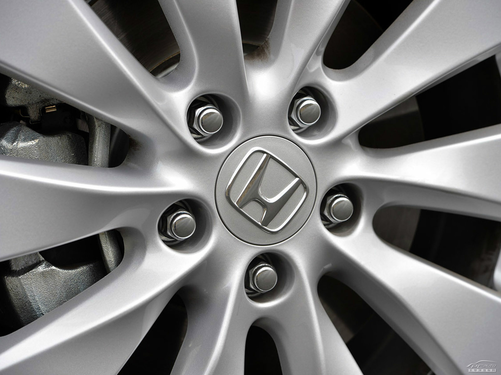 雅閣(海外)外觀高清大圖