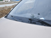 2014款 2.0L 自動 尊貴型 2014款 2.0L 自動 尊貴型