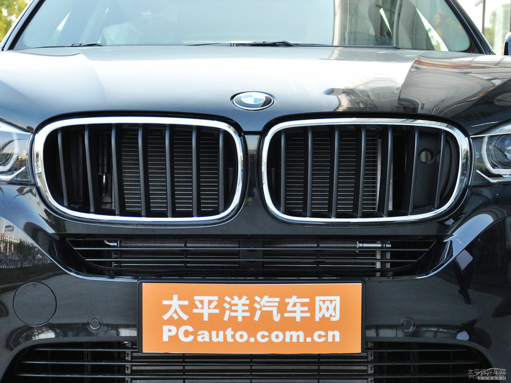 炭黑寶馬X5(進(jìn)口)車頭外觀圖片