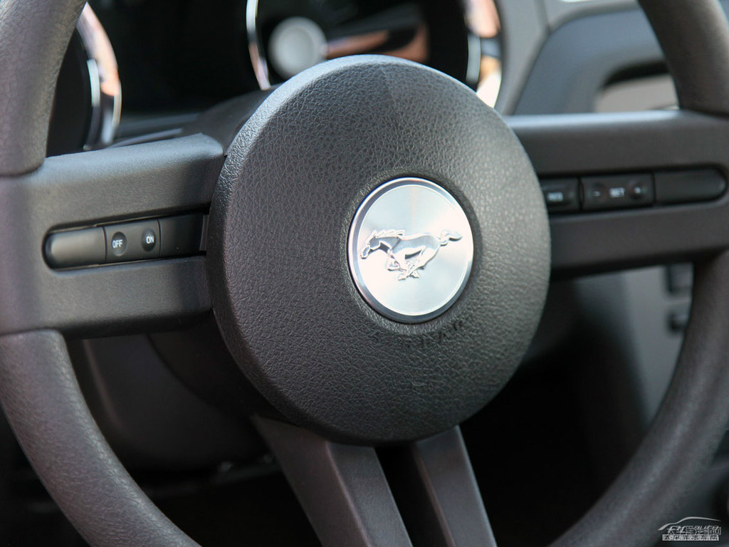 Mustangп؃(ni)DƬ