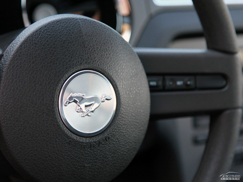 Mustangп؃(ni)DƬ
