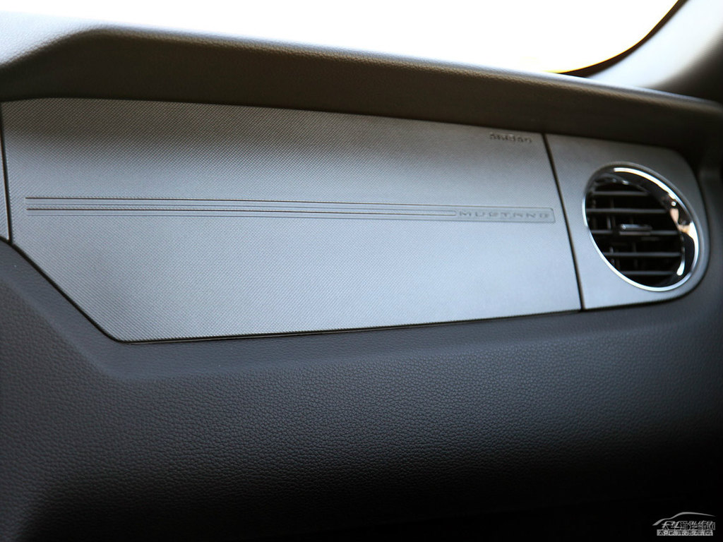 Mustangп؃(ni)DƬ