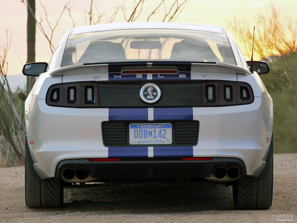ܰ׸Mustang܇^^DƬ