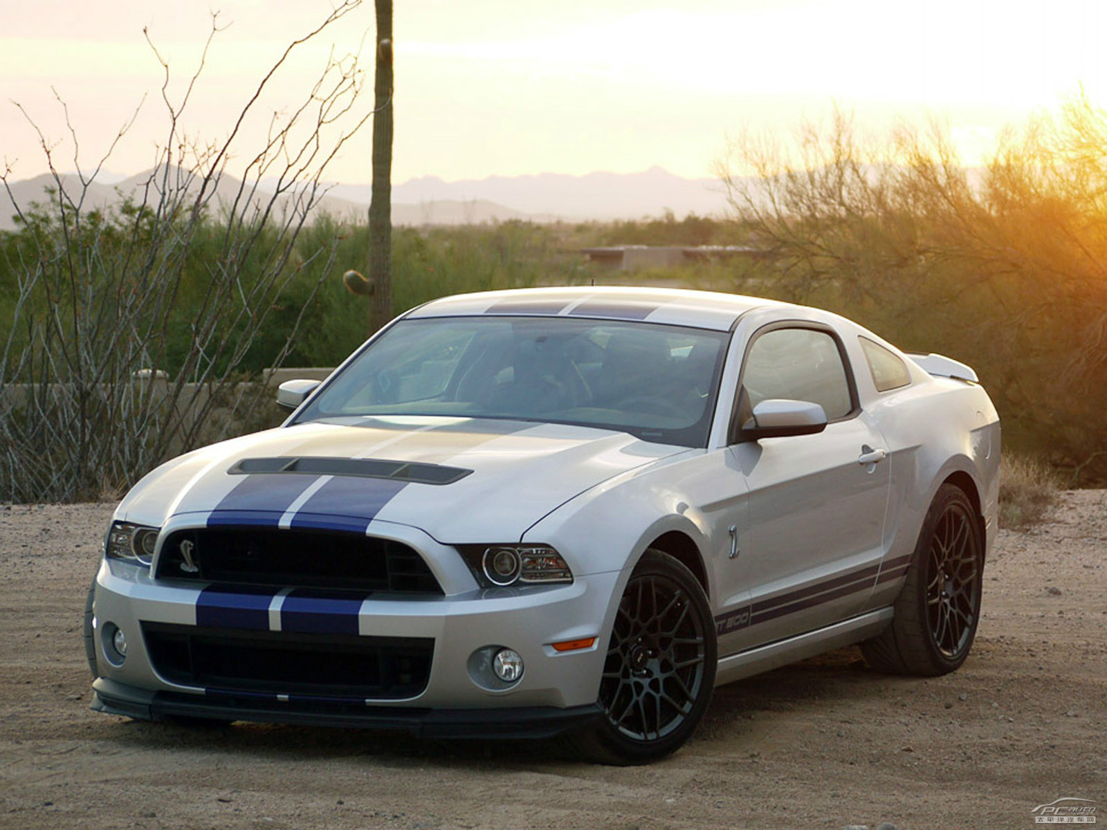 福特Mustang外觀高清大圖