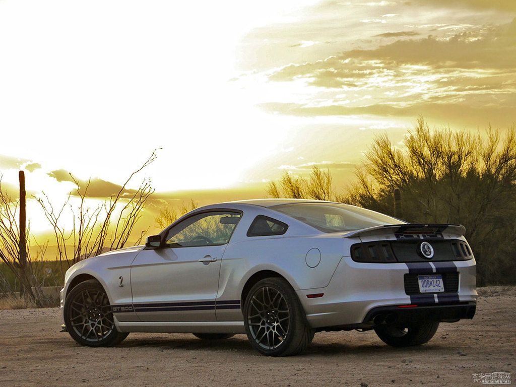 ܰ׸Mustang܇^^DƬ