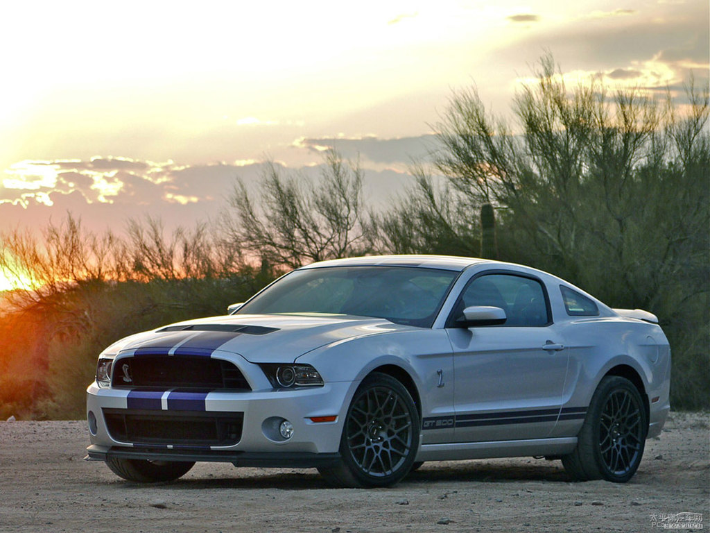 ܰ׸Mustang܇^^DƬ