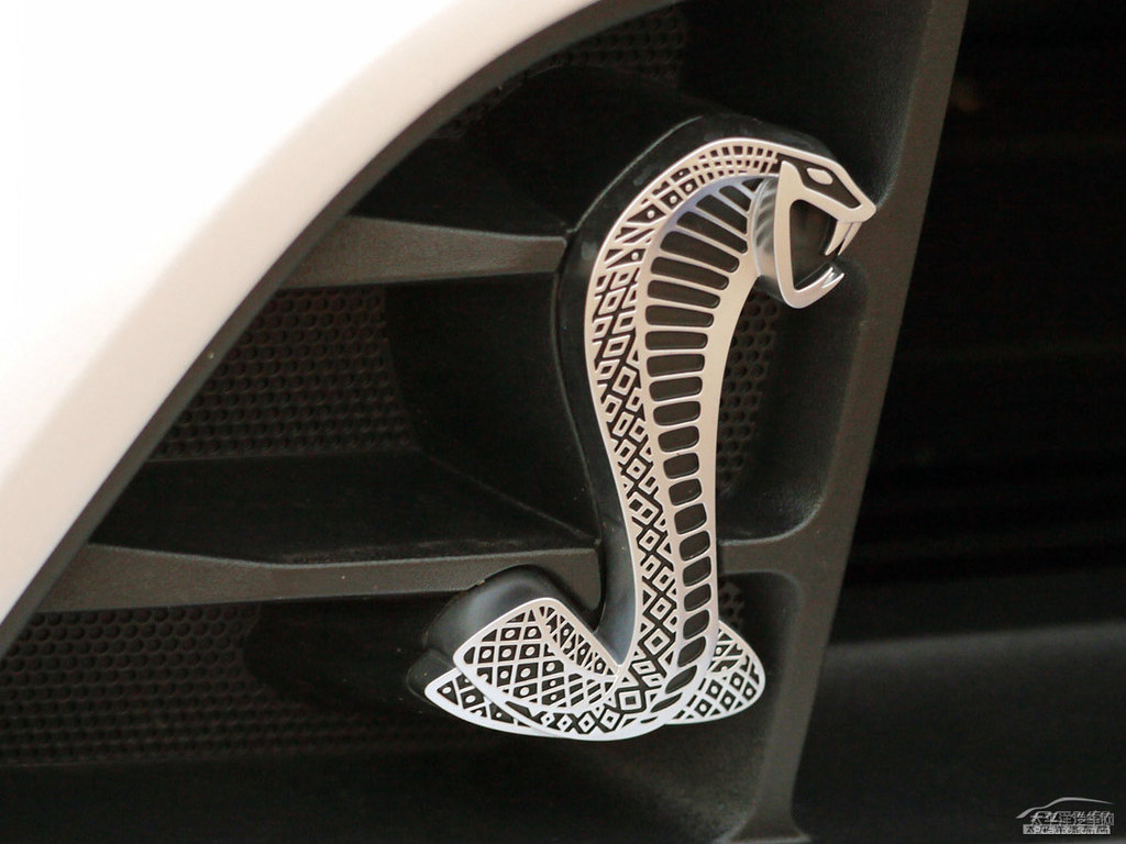 ܰ׸Mustang܇^^DƬ