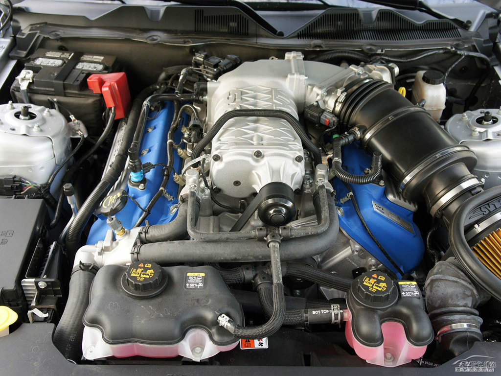 ܰ׸Mustangl(f)әC(j)(x)(ji)DƬ