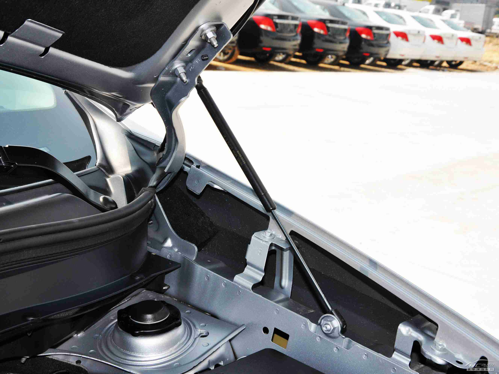 自由光(進口)細節(jié)高清大圖