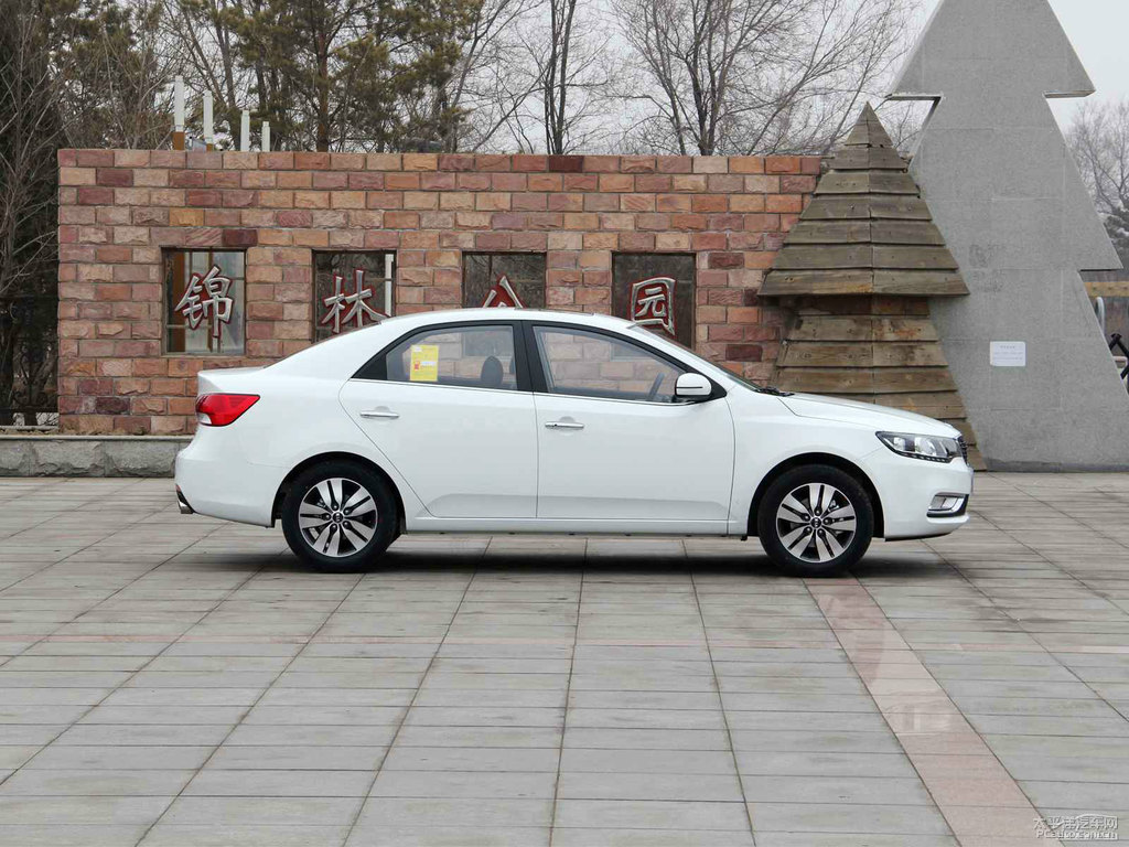 透明白福瑞迪整車(chē)外觀外觀圖片
