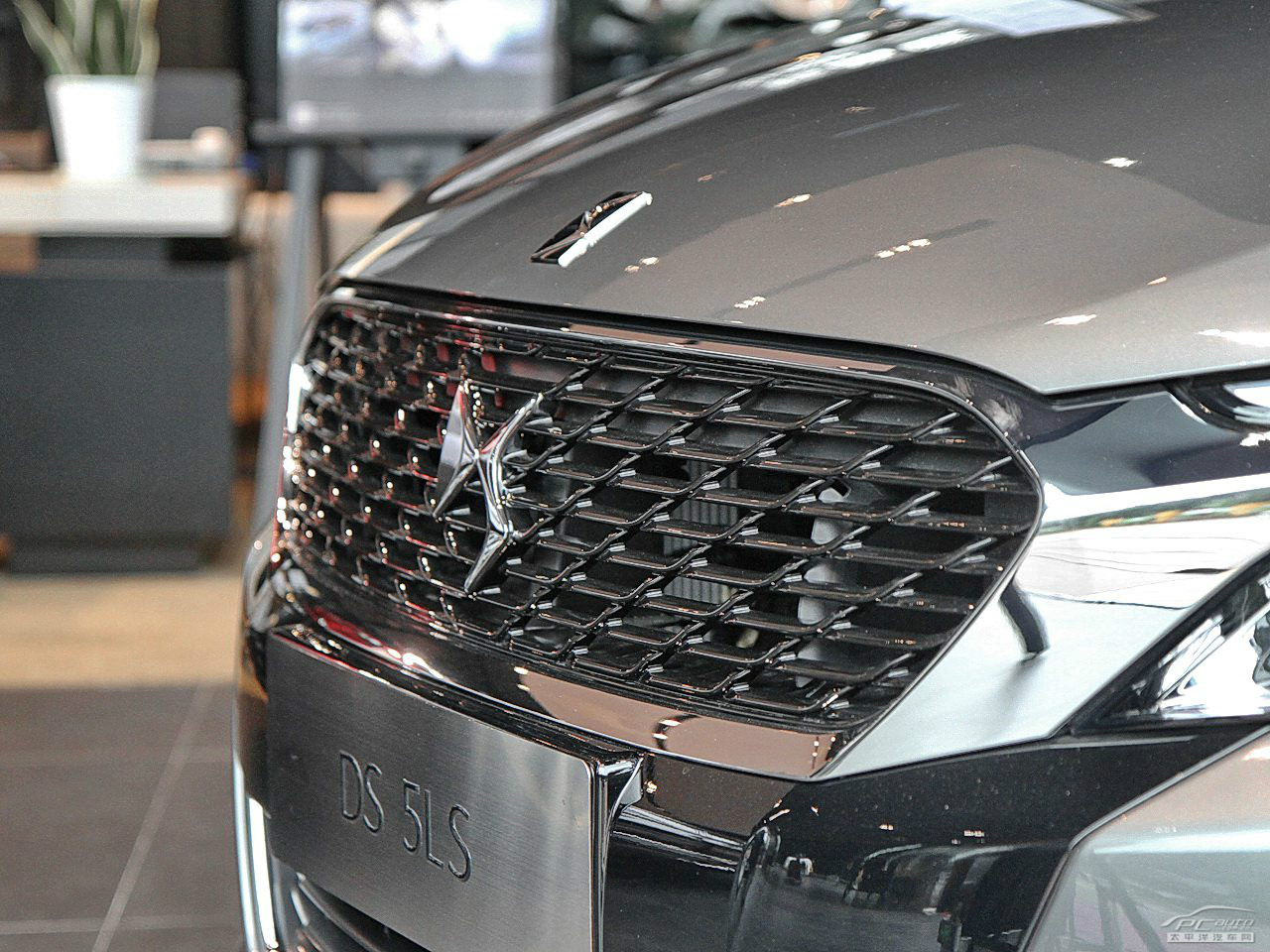 DS 5LS外觀高清大圖