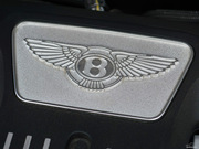 2014 4.0T V8 (bio)ʰ