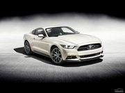 2015款 GT 50 Year Limited Edition 2015款 GT 50 Year Limited Edition