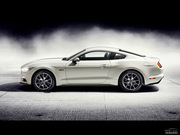 2015款 GT 50 Year Limited Edition 2015款 GT 50 Year Limited Edition