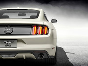 2015款 GT 50 Year Limited Edition 2015款 GT 50 Year Limited Edition