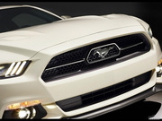 2015款 GT 50 Year Limited Edition 2015款 GT 50 Year Limited Edition