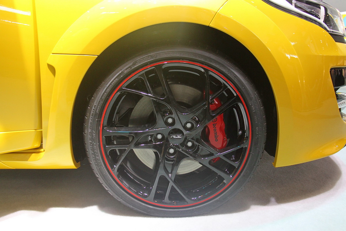 梅甘娜車展高清大圖