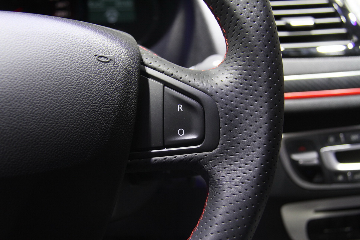 梅甘娜車展高清大圖