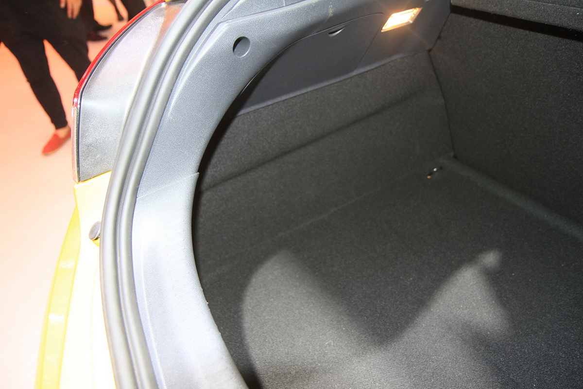 梅甘娜車展高清大圖