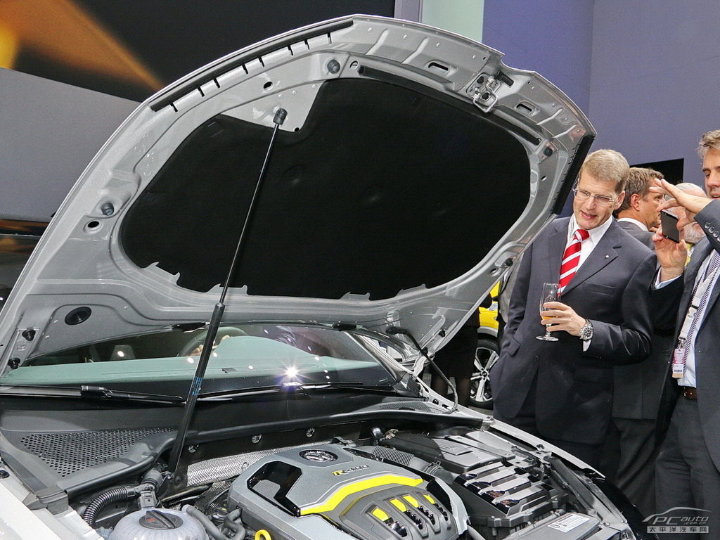 高爾夫(進(jìn)口)細(xì)節(jié)高清大圖