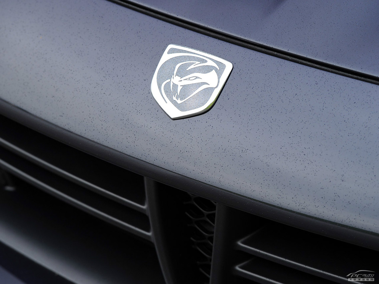 蝰蛇外觀高清大圖