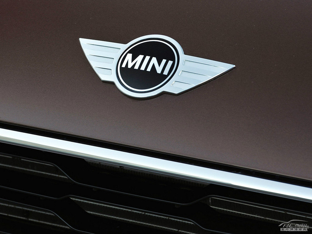 MINI PACEMAN^DƬ