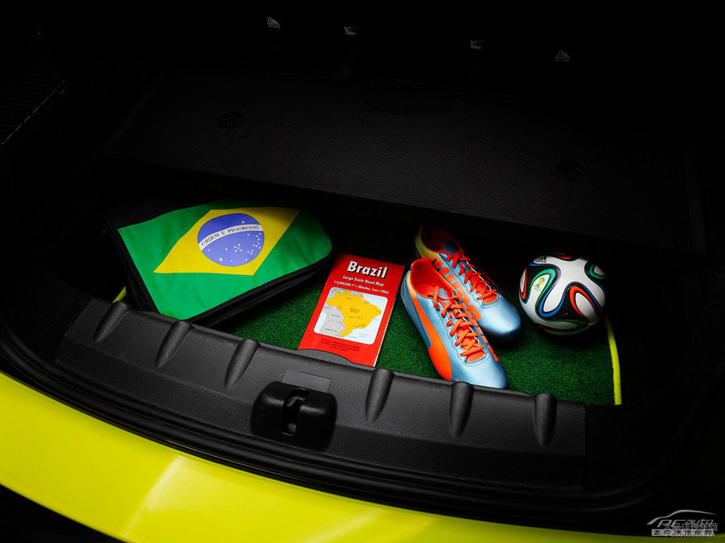 MINI PACEMAN(ni)DƬ