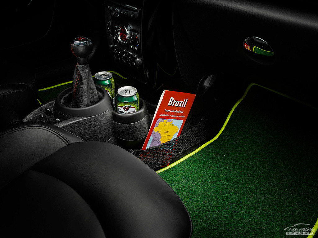 MINI PACEMANDƬ