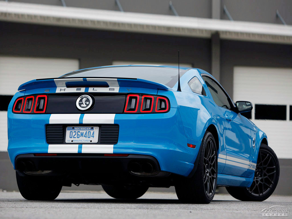 {(ln)Mustang܇^^DƬ