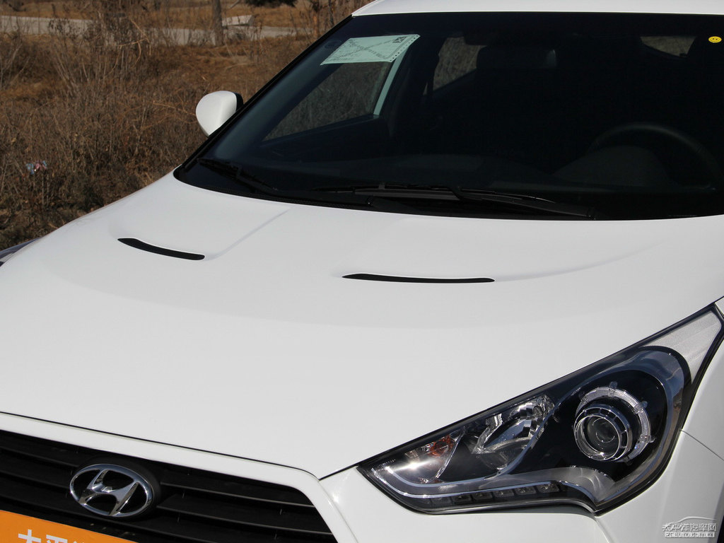 Veloster܇^^DƬ