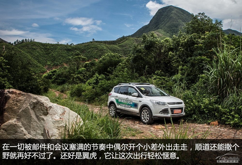 翼虎圖片