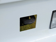 2014 L(zhng)Ύ܇QL5040XXYA1HA