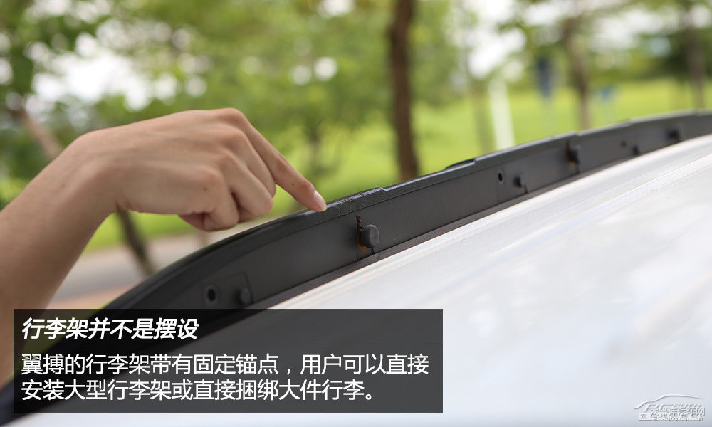 翼搏圖片