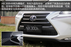 ׿_˹NX300h(sh)w(yn) ϵASUV