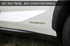 ׿_˹NX300h(sh)w(yn) ϵASUV