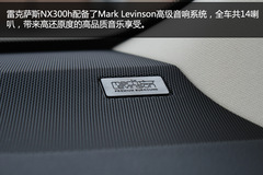 ׿_˹NX300h(sh)w(yn) ϵASUV