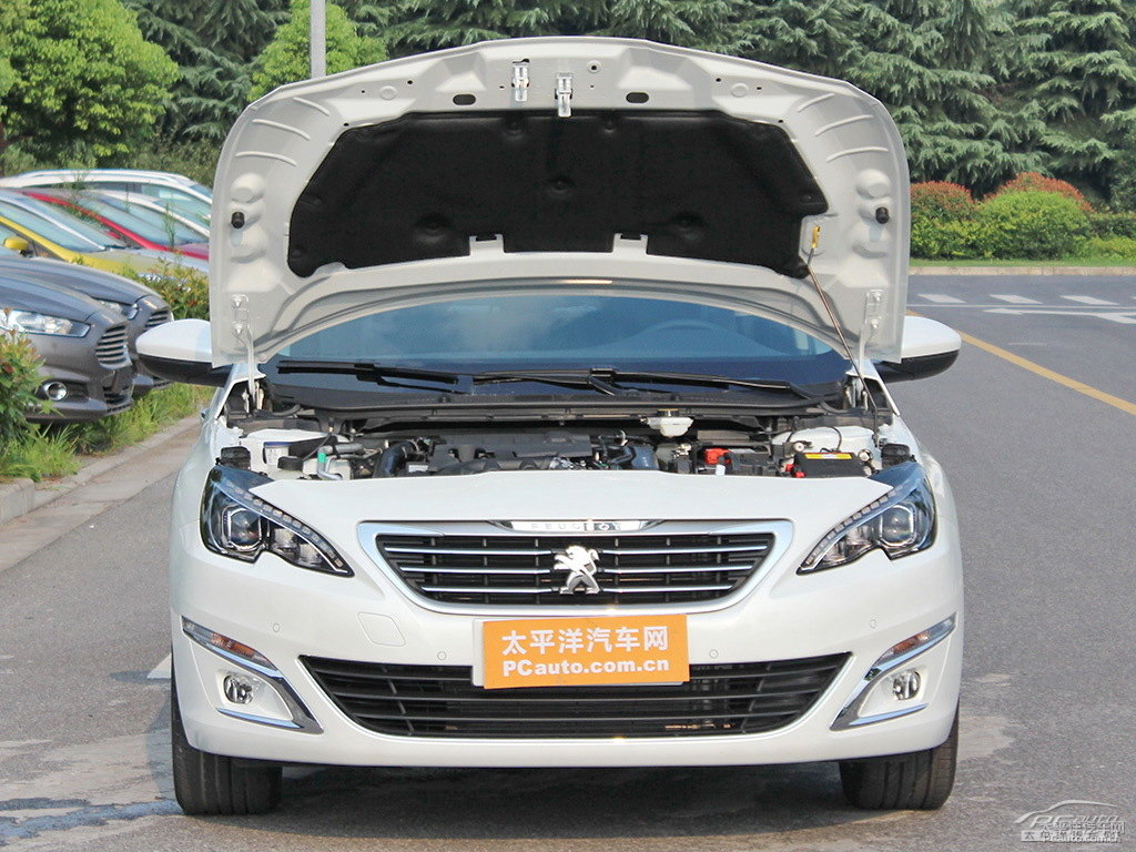 珠光白標(biāo)致408發(fā)動機(jī)其它細(xì)節(jié)圖片