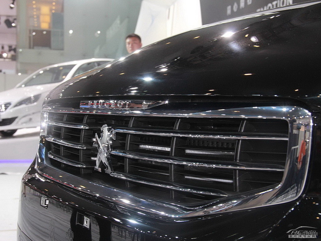 碳晶黑標(biāo)致508車(chē)頭外觀圖片