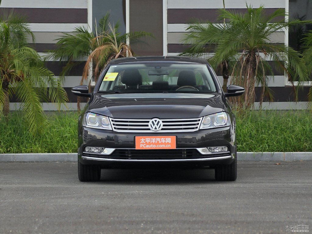 摩卡棕邁騰整車外觀外觀圖片