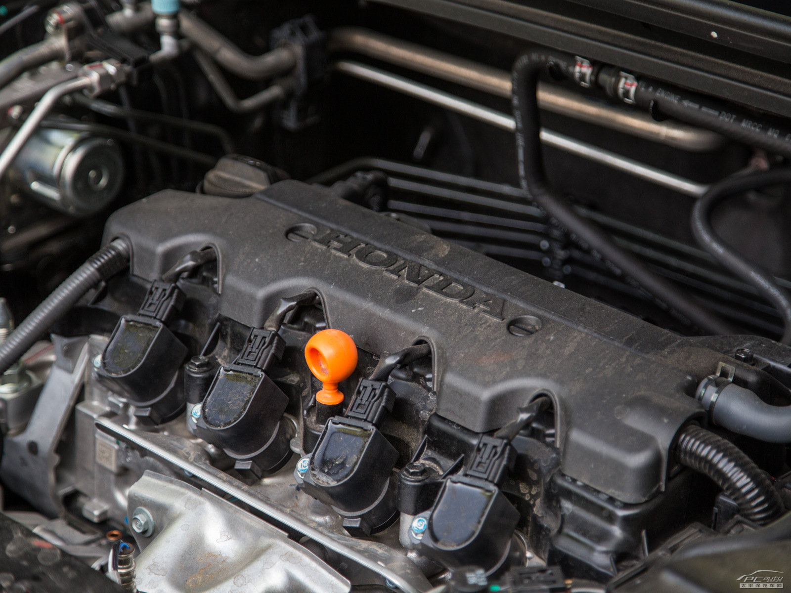 繽智細節(jié)高清大圖