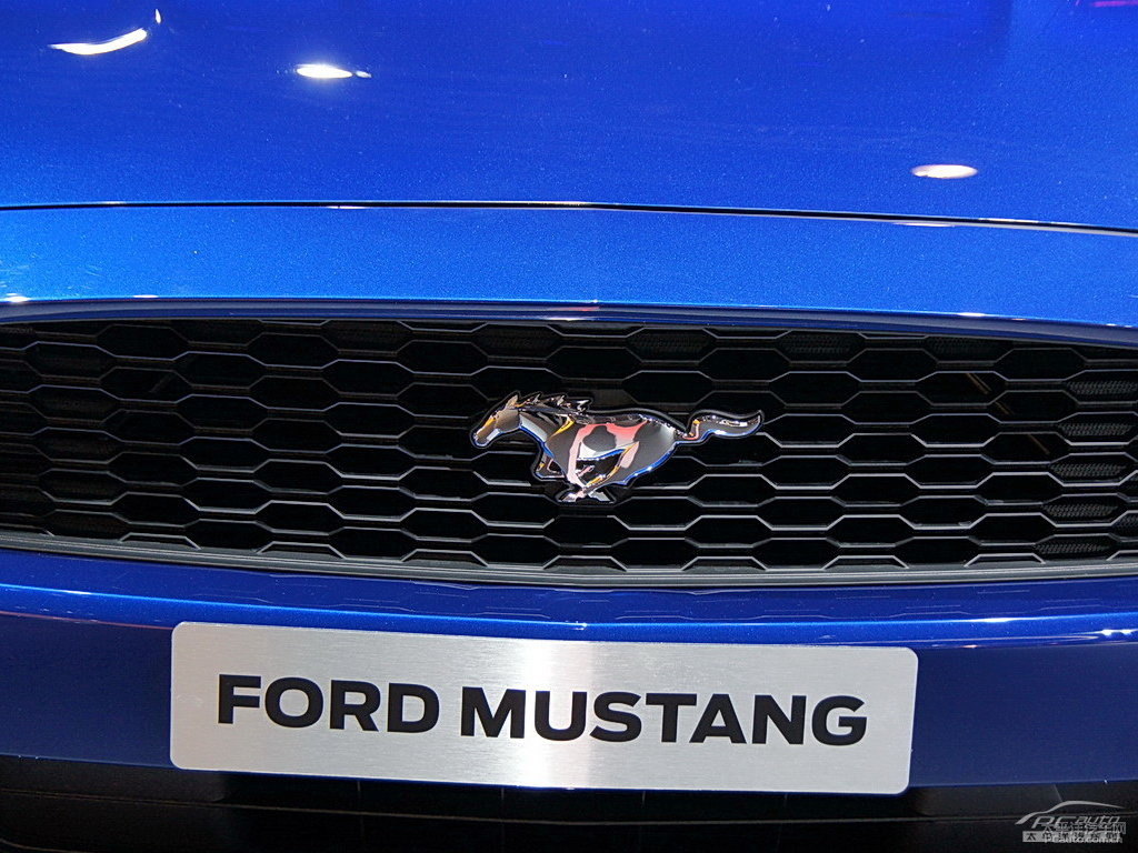늹{(ln)Mustang܇^^DƬ