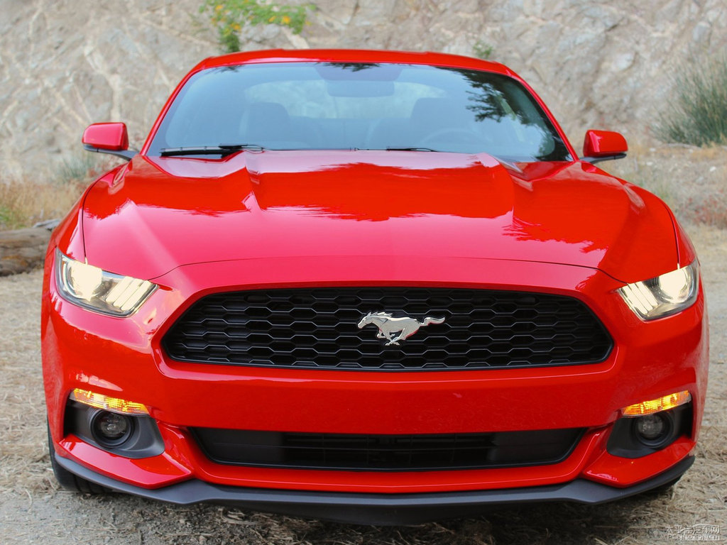 tMustang܇^^DƬ