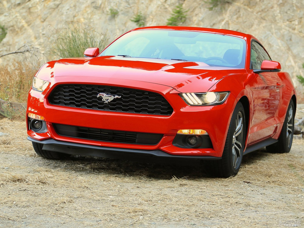 tMustang܇(ch)^^DƬ